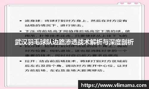 武汉羽毛球队边路渗透战术解析与深度剖析