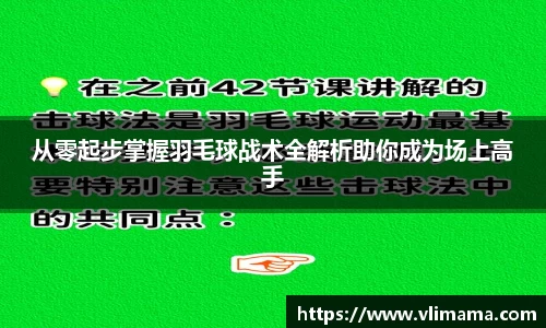 从零起步掌握羽毛球战术全解析助你成为场上高手