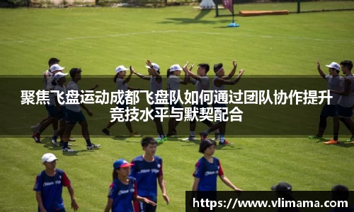 聚焦飞盘运动成都飞盘队如何通过团队协作提升竞技水平与默契配合