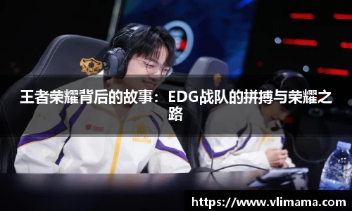 王者荣耀背后的故事：EDG战队的拼搏与荣耀之路