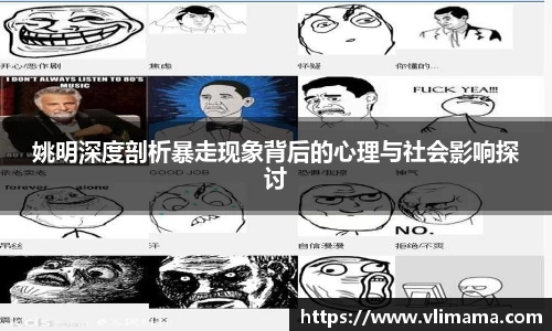 姚明深度剖析暴走现象背后的心理与社会影响探讨