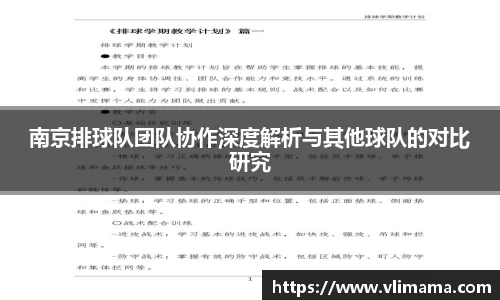南京排球队团队协作深度解析与其他球队的对比研究